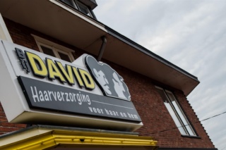 Bijdavid_06V2
